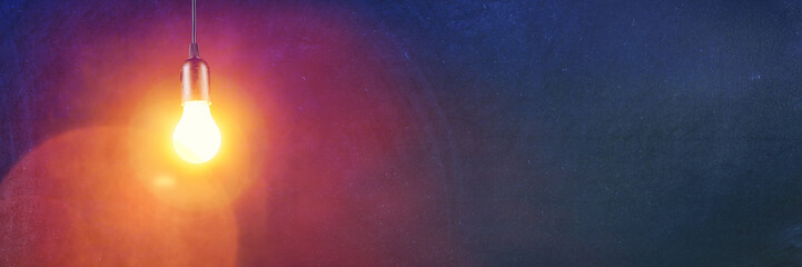 世界最奇葩的五大动物