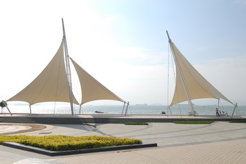 高一生物《细胞的分化》教学设计