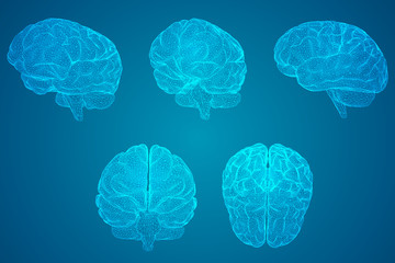 世界最奇葩的五大动物