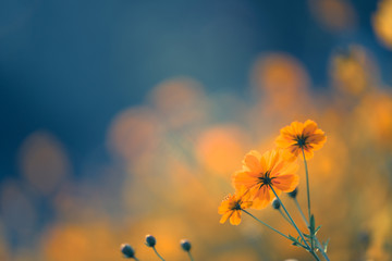 二年级一班最简单的手抄报 最简单的手抄报