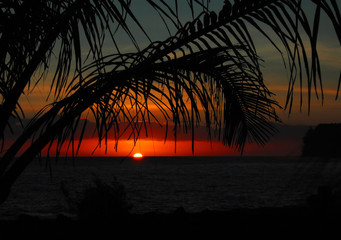 求20个最难的脑筋急转弯