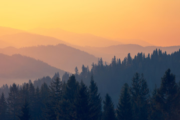 求20个最难的脑筋急转弯