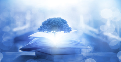 迪士尼和迪斯尼有什么区别