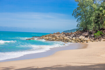 高一生物《细胞的分化》教学设计