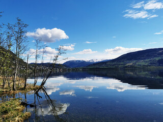 求20个最难的脑筋急转弯