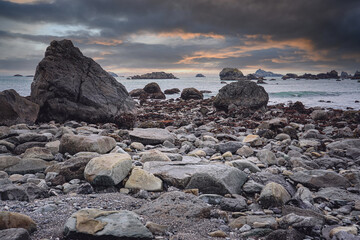 高一生物《细胞的分化》教学设计