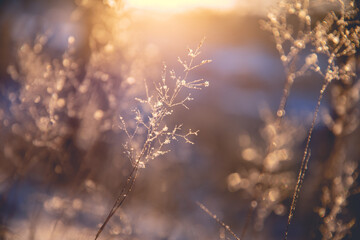 二年级一班最简单的手抄报 最简单的手抄报