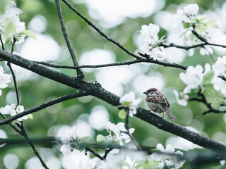 汉朝第11任皇帝汉元帝简介