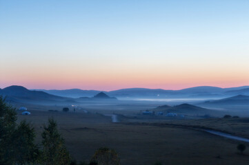 世界最奇葩的五大动物