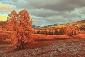 迪士尼和迪斯尼有什么区别