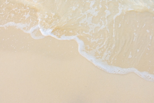 世界最奇葩的五大动物