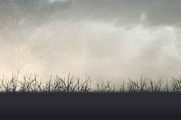 世界最奇葩的五大动物