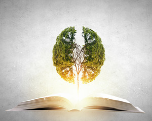 迪士尼和迪斯尼有什么区别