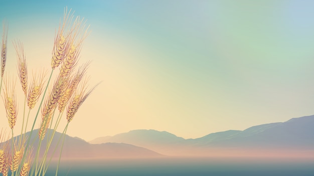 迪士尼和迪斯尼有什么区别