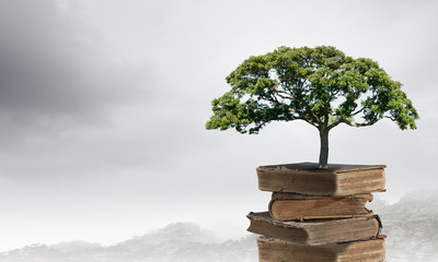 哪些养生知识适合在秋季发给顾客？