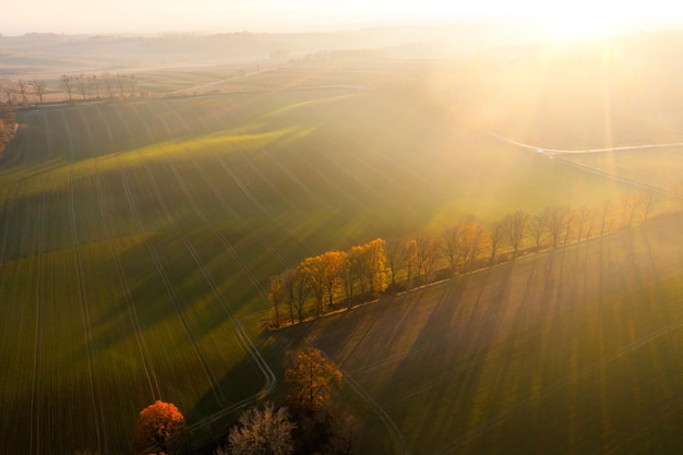 高一生物《细胞的分化》教学设计