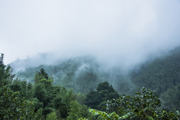 两个人互相暗恋有什么特征？